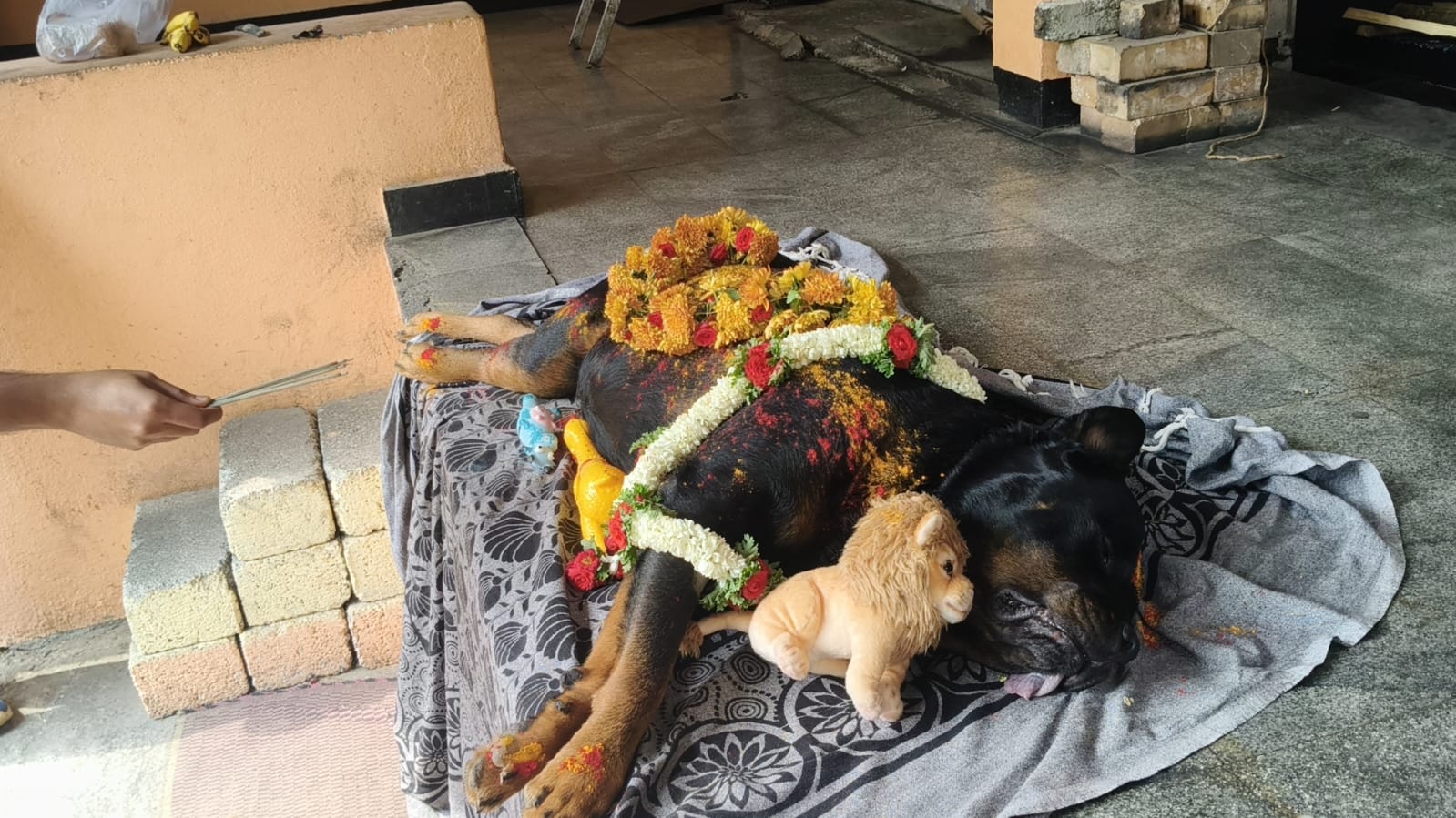 Pet farewell Bangalore