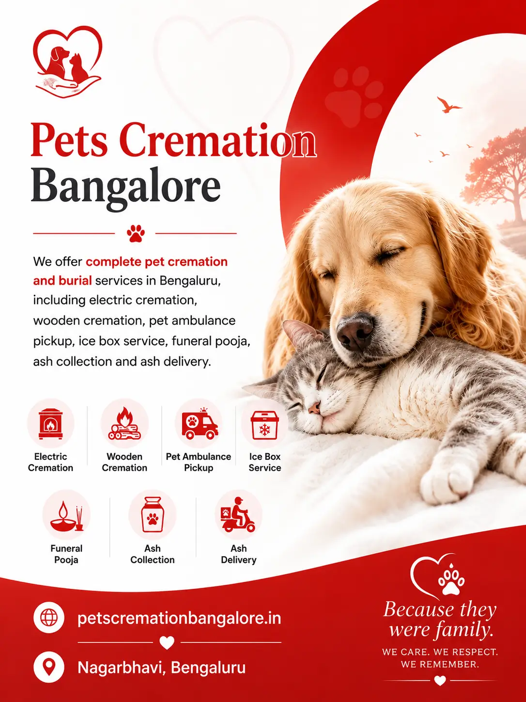 Compassionate pet funeral services in Bangalore